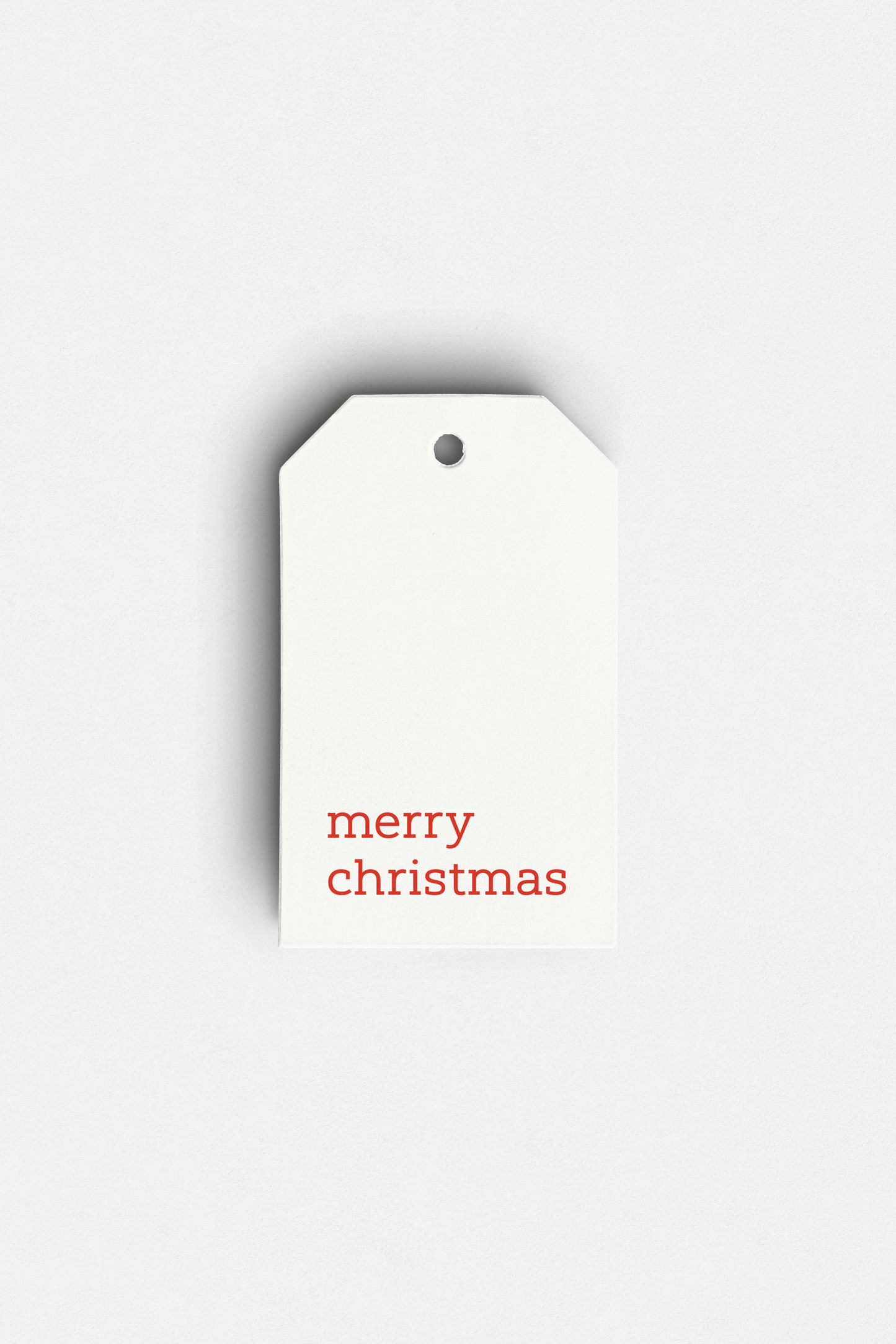 Merry Christmas Gift Bag