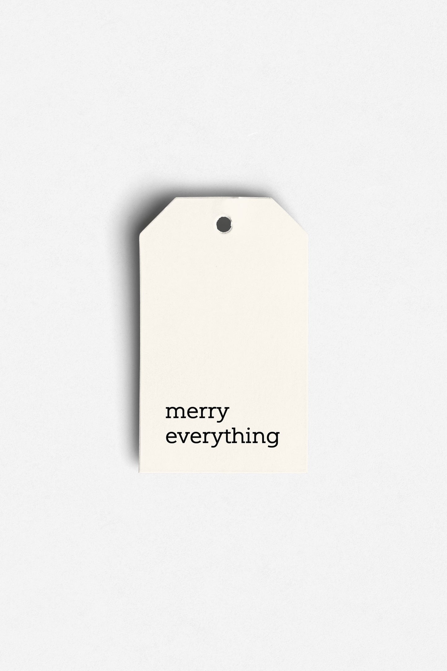 Merry Everything Gift Bag