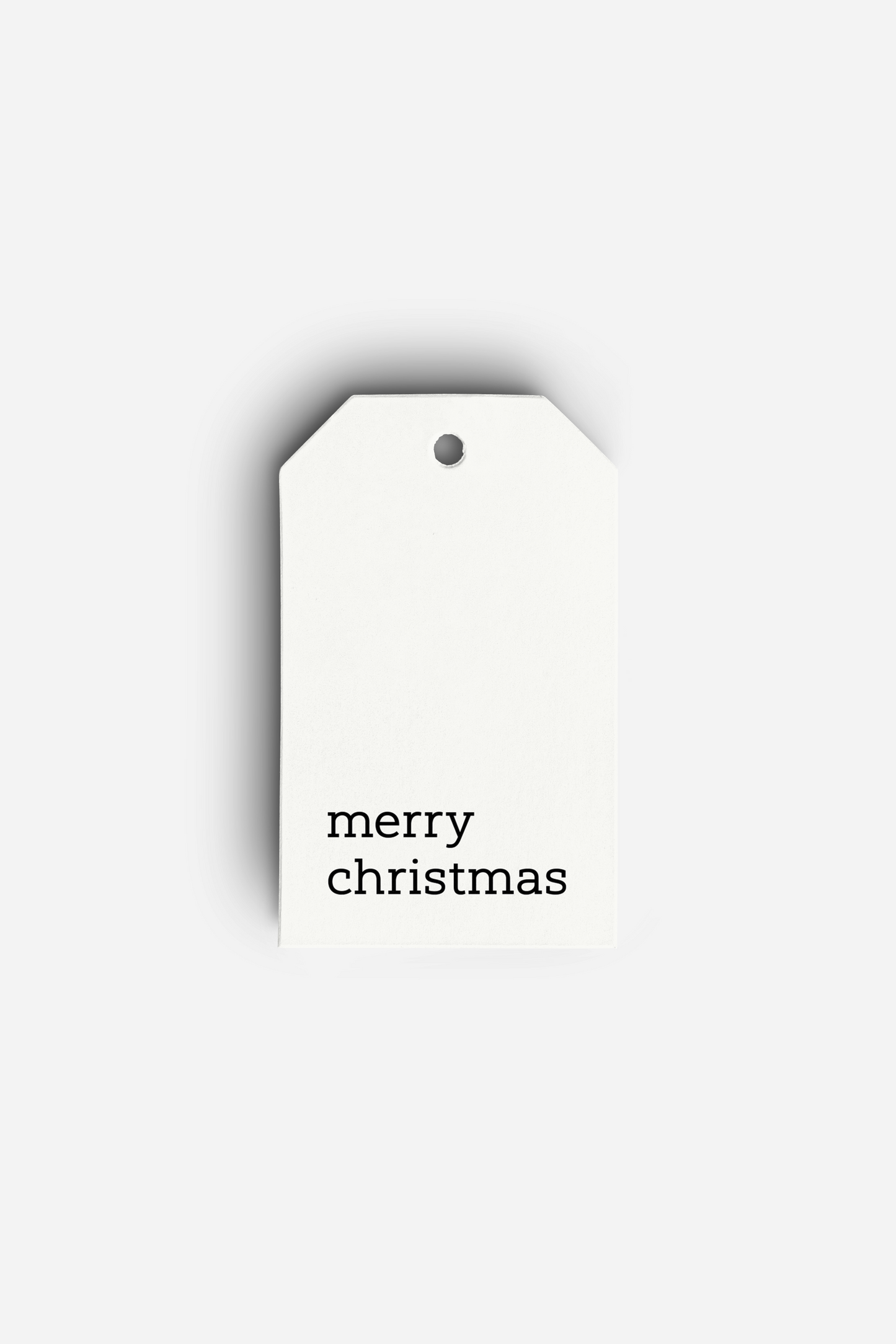 Merry Christmas Gift Bag