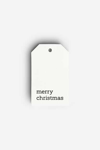 Merry Christmas Gift Bag
