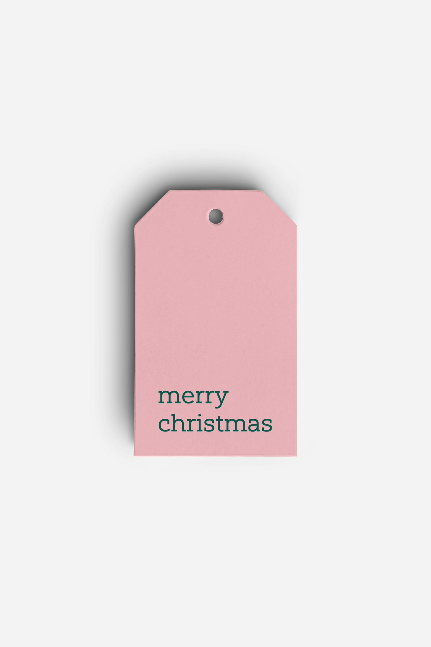 Merry Christmas Gift Bag