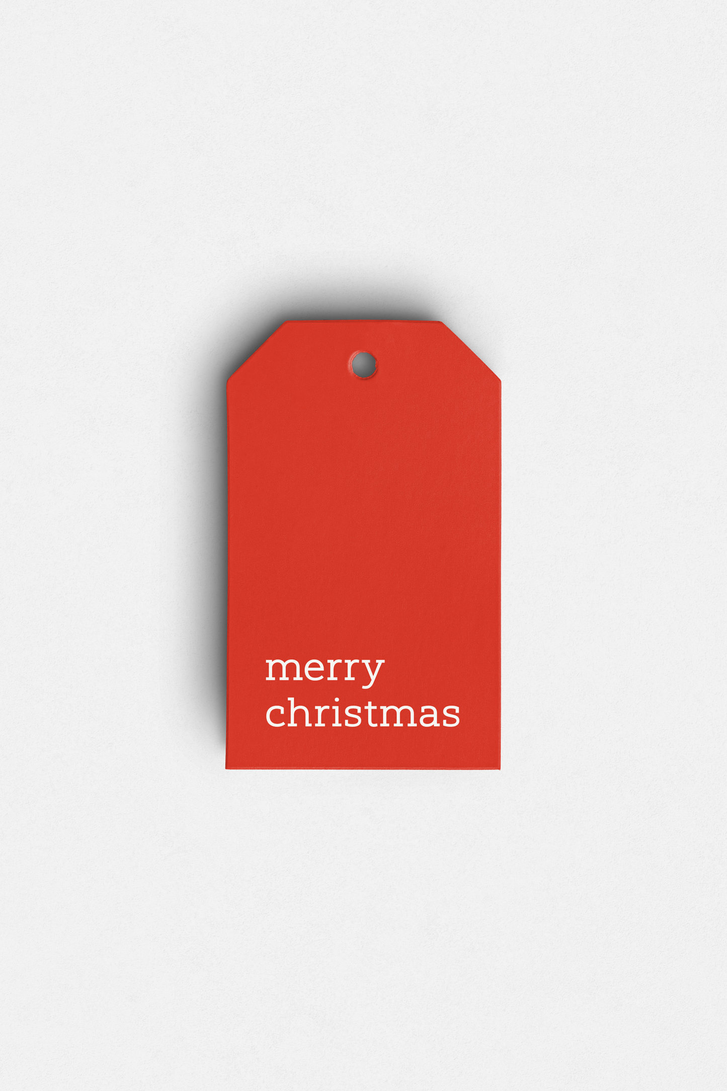 Merry Christmas Gift Bag