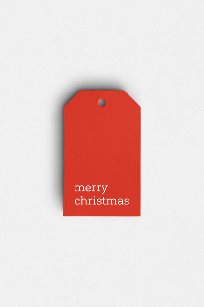 Merry Christmas Gift Bag